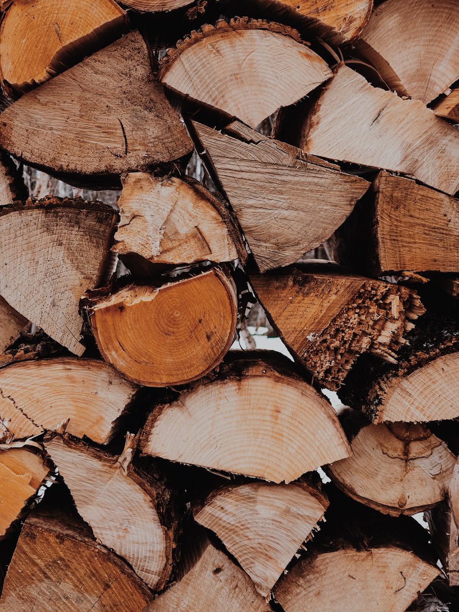 The Best Types Of Wood To Burn - [2020 Guide To Burning Wood]